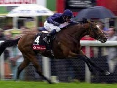 Glorious Galileo Euthanised at 23, Will Never Be Forgotten Image 1
